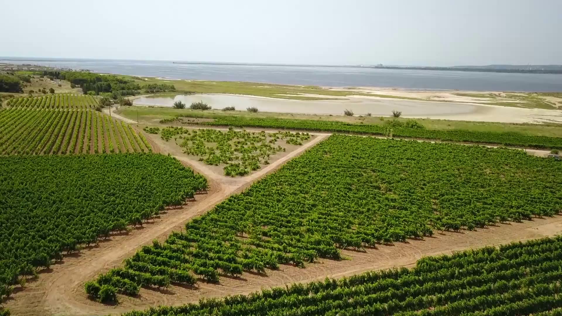 Vins Pierre Richard - Domaine poster vidéo