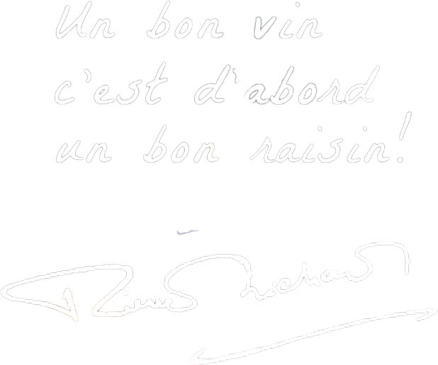 Vins Pierre Richard - citation signature